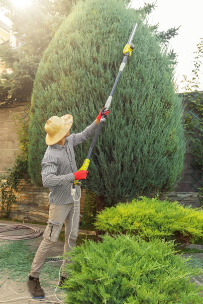 Seasonal Cleanup (Spring/Fall) in Bedford Heights, OH